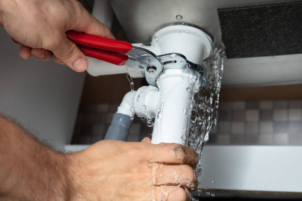 Best Flooded house restoration  in Geneva, IN