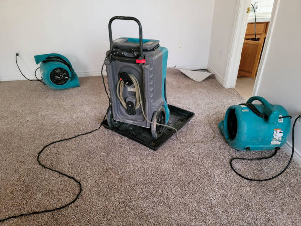 Best Commercial water damage restoration  in Geneva, IN