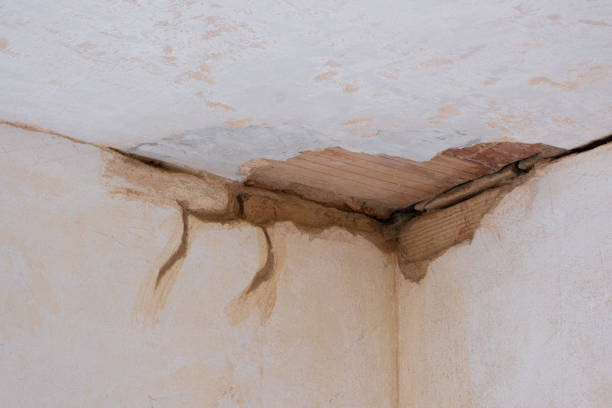 Best Water damage cleanup near me  in Geneva, IN