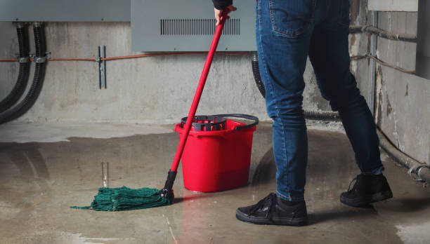 Best Water damage restoration mold remediation  in Geneva, IN