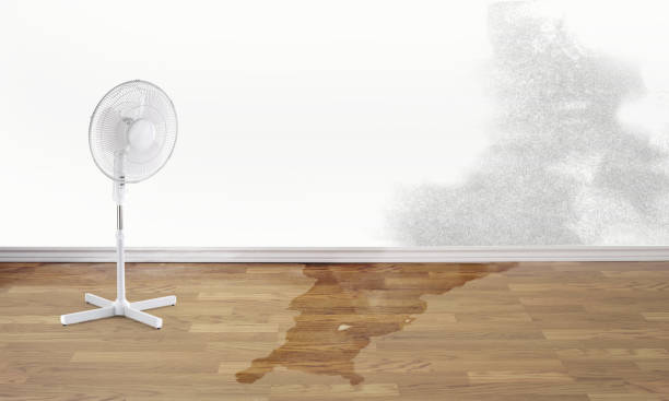 Best Flood restoration services  in Geneva, IN