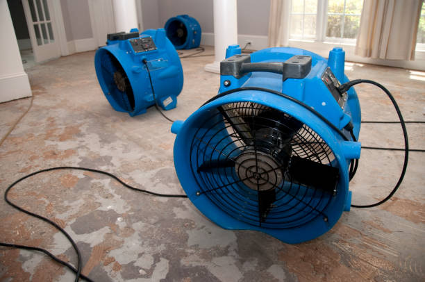 Best Water damage restoration near me  in Geneva, IN