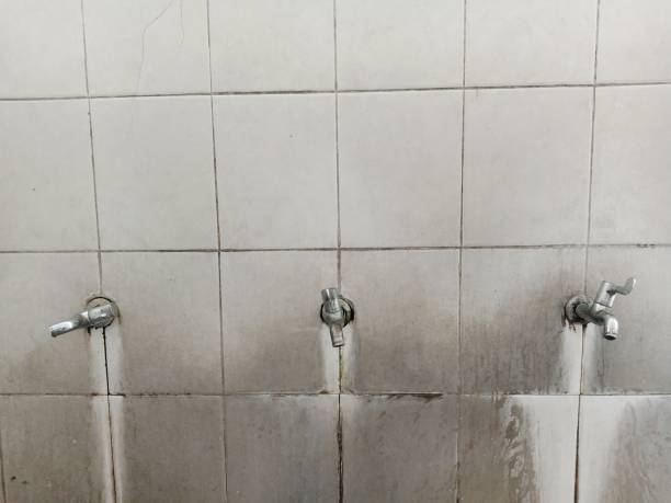 Best Flood damage cleanup  in Geneva, IN