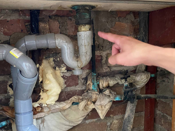 Best Water damage contractors near me  in Geneva, IN