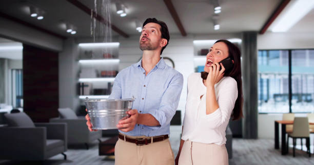 Water damage restoration mold remediation in IN